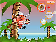 play Cocoon Island