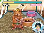 play My Tiny Hamster