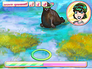 play My Dear Seal
