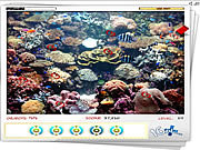 play Hidden Seahorses