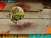 play Hidden World: Animals