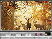 play Nature Photography - Find The Numbers