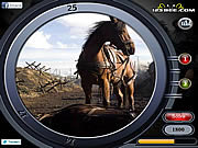 play War Horse - Find The Numbers
