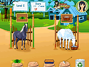play Horsecare Apprenticeships
