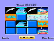 play Dolphin Match