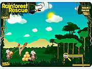play Rainforest Rescue