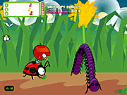 play Ladybird Racing