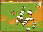 play Kaban Sheep