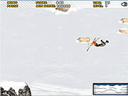 play Ski Sim