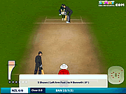 play Online Cricket 2011