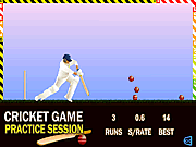 play Cricket