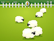 play Count The Sheep