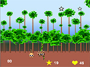 play Super Raccoon