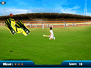 play Wicket Keeping Volt Uk