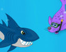 play Seals Vs Sharks