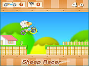 play Sheep Racer