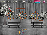 play Coconut Arrow Shooting