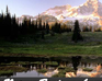 play Nature Find Numbers