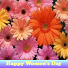 play Happy Women'S Day