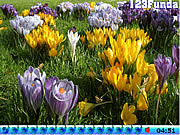 play Hidden Snails