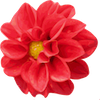 play Dahlia Jigsaw