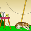 play Animal Shelter Escape 2