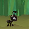 play Ants Evening