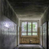 play Asylum V