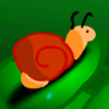 play Snail