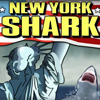 New York Shark