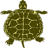 play Turtle Jigsaw