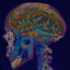 play The Life Of Brain