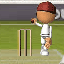 play Flash Cricket 2