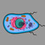 play Cell Craft