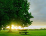 play Dawn Find Numbers