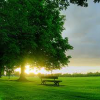 play Dawn Find Numbers