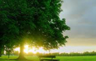 play Dawn Find Numbers
