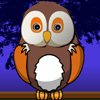play Successful Owl