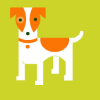play Jack Russel