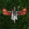 play Dragon Wizard