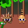 play Super Racoon