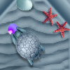 play Quick Turtle