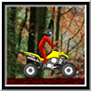 play Quad Extreme Racer