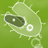 play Microbe Combat