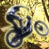 play Trial Bike Master