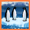 play Turbocharged Penguins