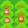 play Save The Golden Lion Tamarin