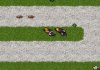 play Tibia Tower Defense 2