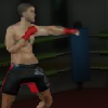 play Mma Training Grounds