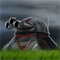 play Wasteland Defender